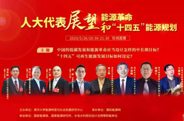 兩會(huì)代表與業(yè)內(nèi)專家達(dá)成共識(shí)：可再生能源發(fā)展規(guī)劃目標(biāo)制定要有前瞻性